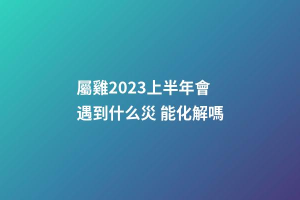屬雞2023上半年會遇到什么災 能化解嗎